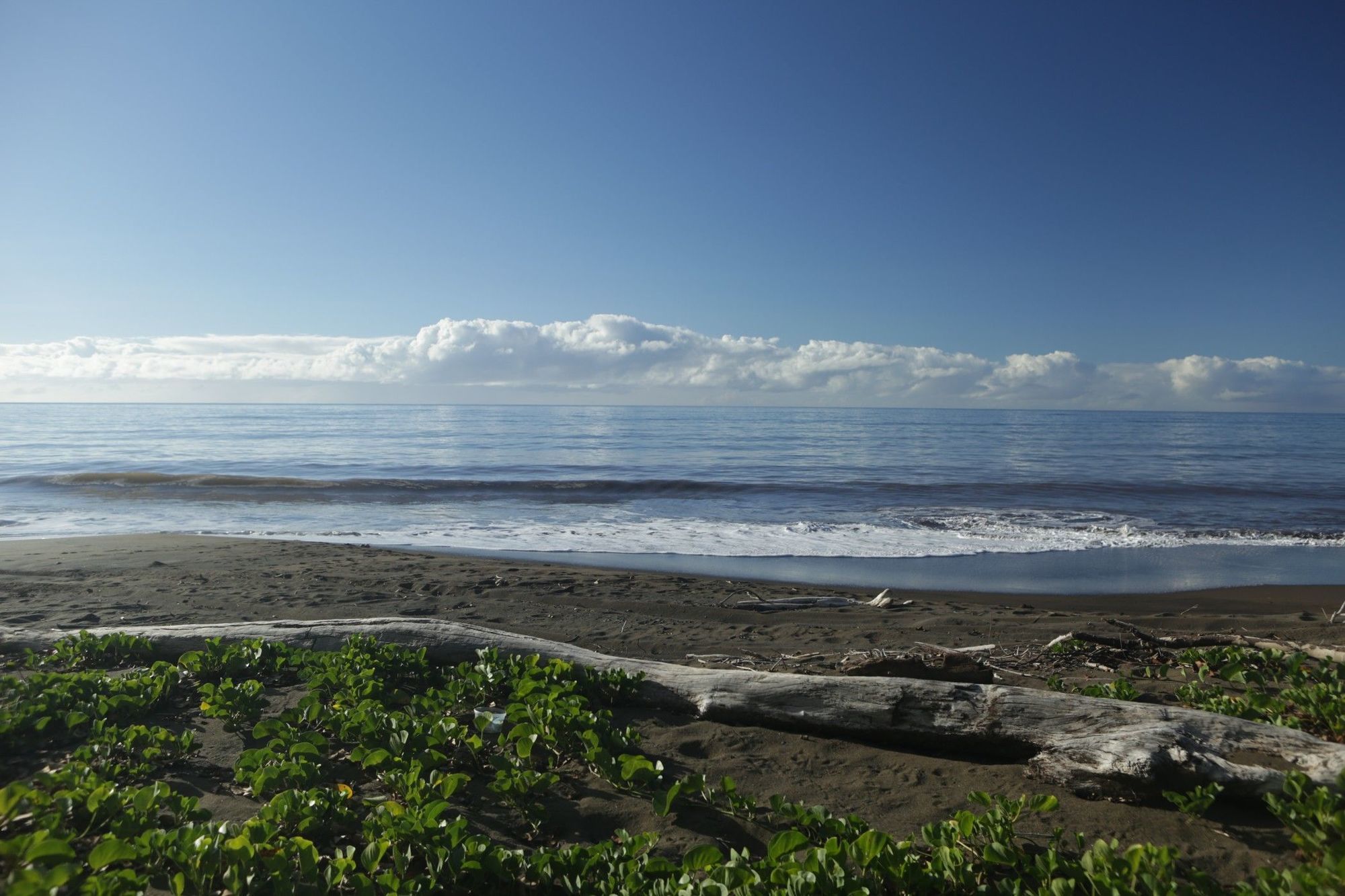 Waimea Plantation Cottages, A Coast Resort Exterior foto